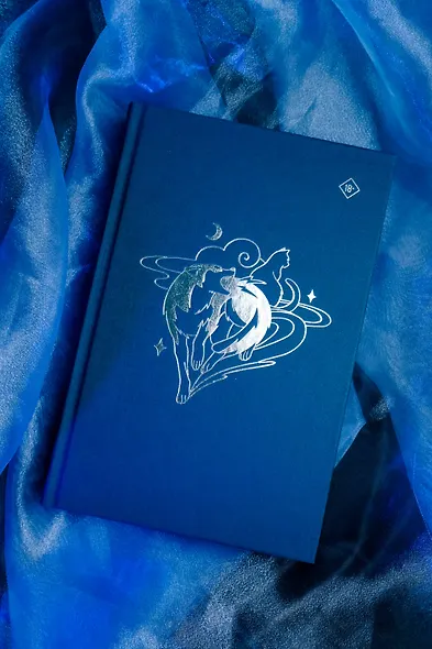 Хаски и его учитель Белый кот. Книга 1 - фото 10