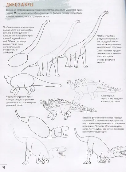 Создаем наброски животных и птиц шаг за шагом: 50 проектов с подробными объяснениями и рисунками + чистые страницы для рисования - фото 5