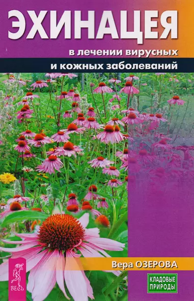 Эхинацея в лечении вирусных и кожных заболеваний (3228) - фото 1