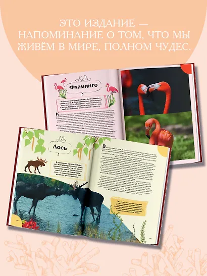 Животные - фото 6