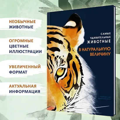 Самые удивительные животные в натуральную величину - фото 4