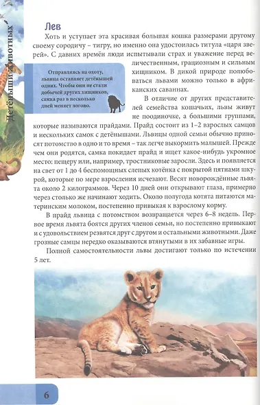 ЭНЦИКЛОПЕДИЯ. В МИРЕ ЗНАНИЙ. ДЕТЁНЫШИ ЖИВОТНЫХ - фото 3