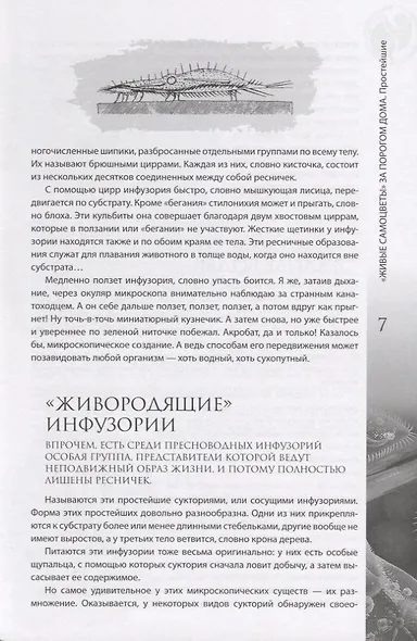 "Живые самоцветы" за порогом дома - фото 7