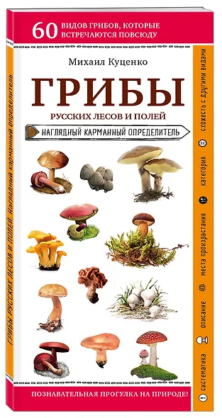 Грибы русских лесов и полей. Наглядный карманный определитель - фото 3