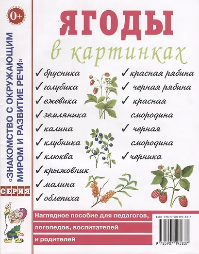 Ягоды в картинках. Наглядное пособие для педагогов, логопедов, воспитателей и родителей - фото 1