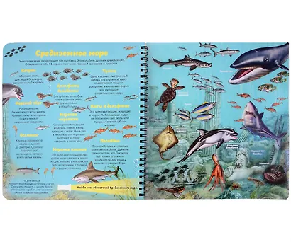 Кто живет под водой? Увлекательное путешествие с фонариком - фото 4