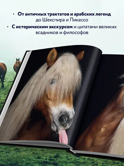 Лошади. Портреты, вдохновленные Рембрандтом. Эксклюзивный фотоальбом - фото 6