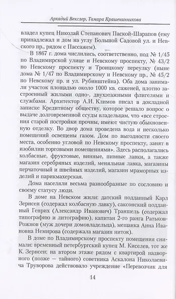 Владимирский проспект - фото 6