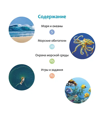 Море и его обитатели - фото 10