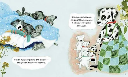 Про собачек. Самое известное и неизвестное - фото 3