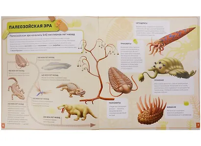 Книга. Доисторический период. Серия Путешественник во времени. 23x26 см. 40 стр. ГЕОДОМ - фото 3