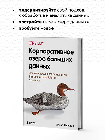 Корпоративное озеро больших данных. Новый подход к использованию Big Data и Data Science в бизнесе - фото 6