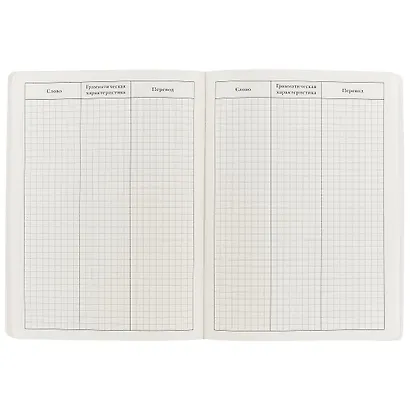 Тетрадь для записи иностранных слов Айрис, "Котята", А5, 32 листа - фото 2