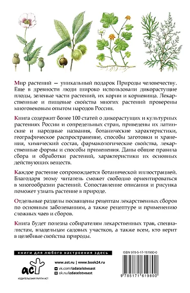 Травник. Лекарственные растения от А до Я - фото 2