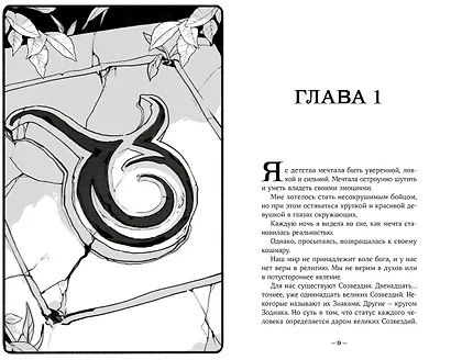 Терра и тайна созвездий. Книга I - фото 2