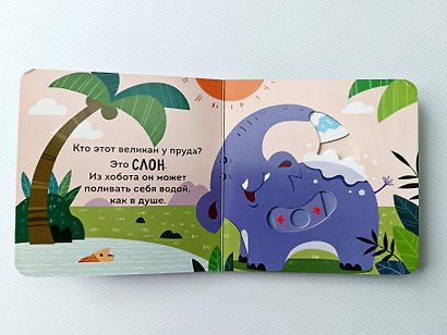 Дикие животные - фото 11