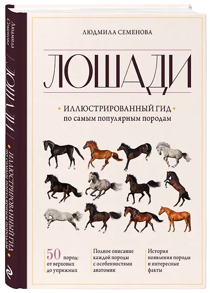 Лошади. Иллюстрированный гид по самым популярным породам - фото 3