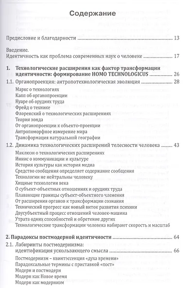 Идентичность в информационном обществе (Емелин) - фото 2