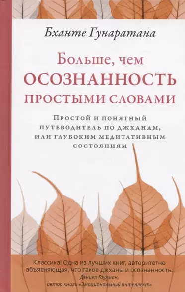 Больше, чем осознанность простыми словами. Простой и понятный путеводитель по джханам, или глубоким медитативным состояниям - фото 1