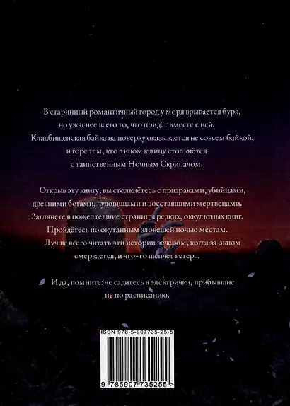 Ночной скрипач - фото 2