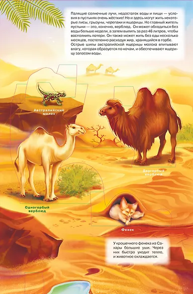 Животные - фото 6