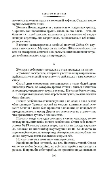Бегство в Египет. Петербургские светотени - фото 9