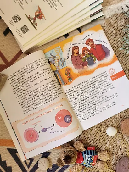 Откуда берутся дети. Детская энциклопедия (Чевостик) (Paperback) - фото 9