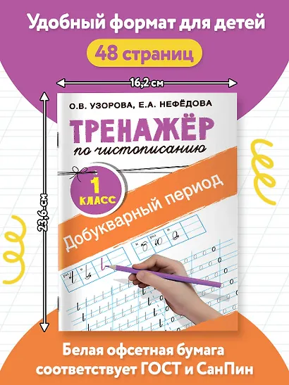Добукварный период. 1 класс. Тренажер по чистописанию - фото 6