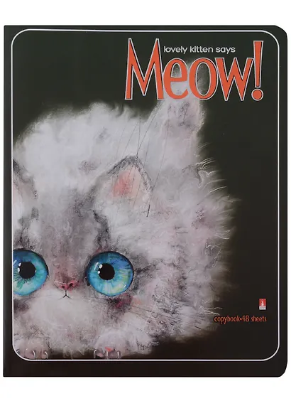 Тетрадь в клетку Альт, Kitty Life, 48 листов, в ассортименте - фото 4