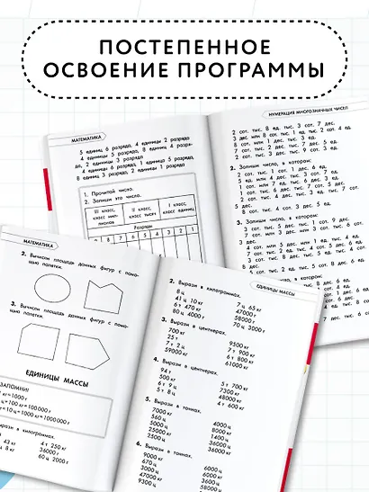 Математика. Русский язык. 4 класс. Полный курс обучения - фото 4