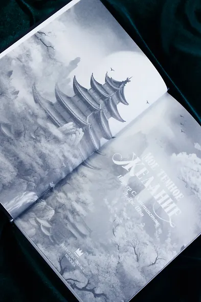 Мое темное желание - фото 11