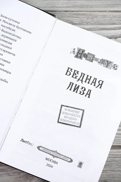 Бедная Лиза - фото 10