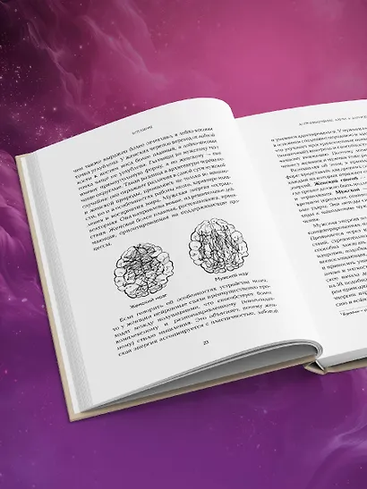 Астромышление. Лагна+Лагеш: 144 модели поведения - фото 12