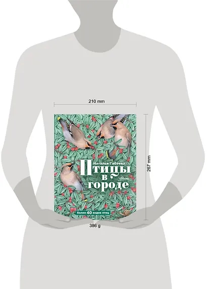 Птицы в городе - фото 10