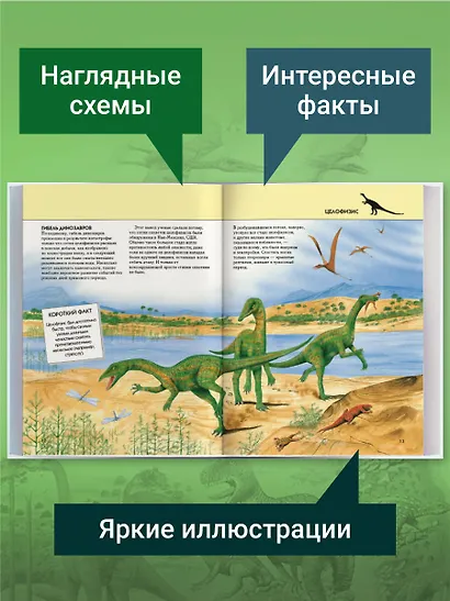 Динозавры. Полная энциклопедия - фото 5