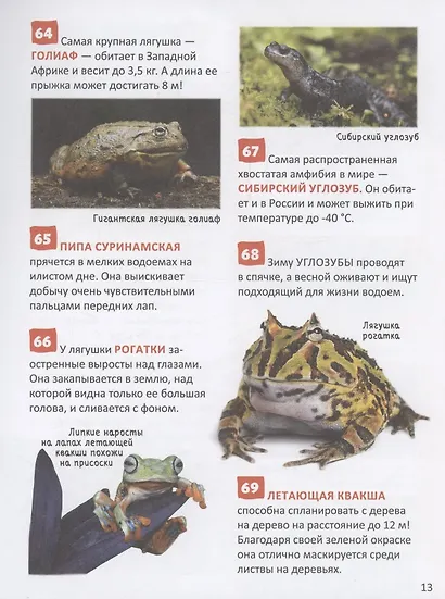 Удивительные животные. 250 фактов. Энциклопедия российского школьника - фото 3