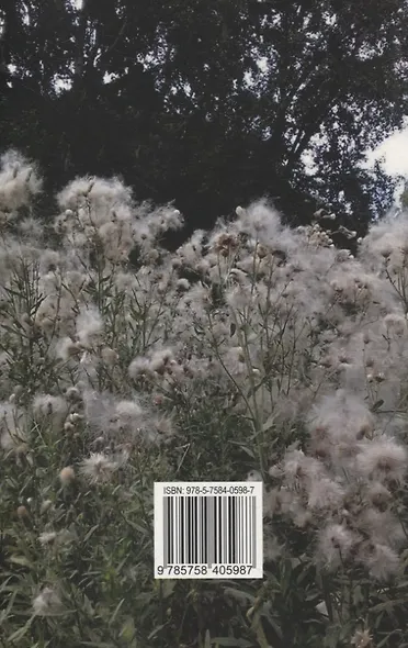 Начертания города Мимо - фото 2