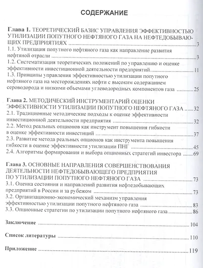 Управление эффективностью утилизации попутного нефтяного газа методом реальных опционов. Теория, методика, эффективность - фото 2