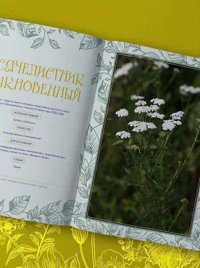 Шаманское травничество. Сила растений. Рецепты наших предков - фото 12