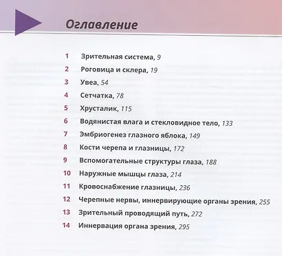 Клиническая анатомия и физиология зрительной системы - фото 2