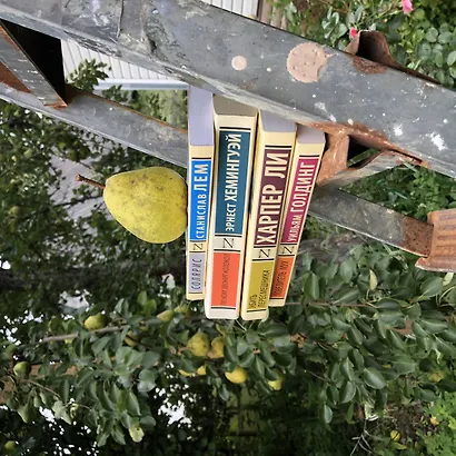 Три товарища - фото 5