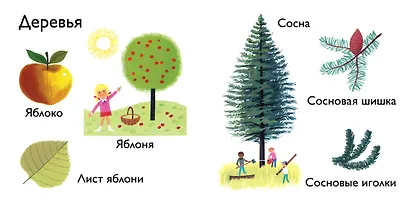 Природа - фото 4