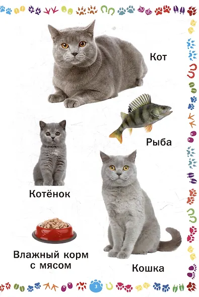 Животные и их детёныши. Книга для самых маленьких - фото 4