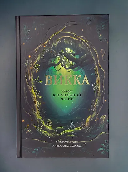 Викка. Ключ к природной магии - фото 8