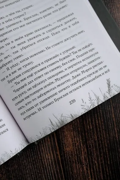 Скиталец. Страшные сказки - фото 11