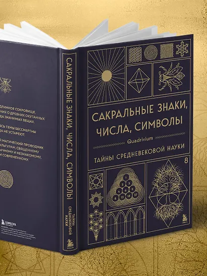 Сакральные знаки, числа, символы. Квадривиум. Тайны средневековой науки. - фото 11