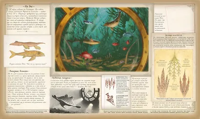 Океанология. Подлинный отчет о путешествии на "Наутилусе" - фото 5