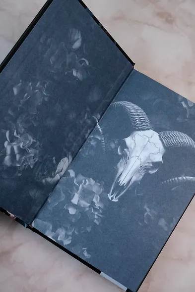 Искуситель - фото 8