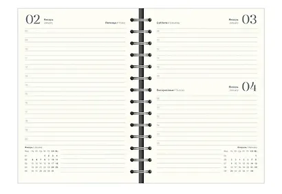 Ежедневник датированный 2026 год, А5, 160 листов, 140x200 мм "Grace", черный - фото 11