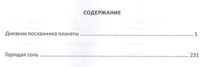 Дневник посланника планеты - фото 2